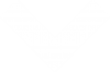 white-arrow